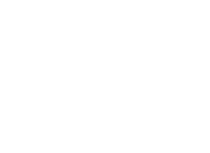 smirnoff-seeklogo white